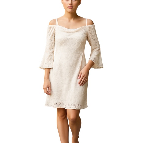 Adrianna Papell NEW lace sheath dress size 14 - Picture 1 of 9